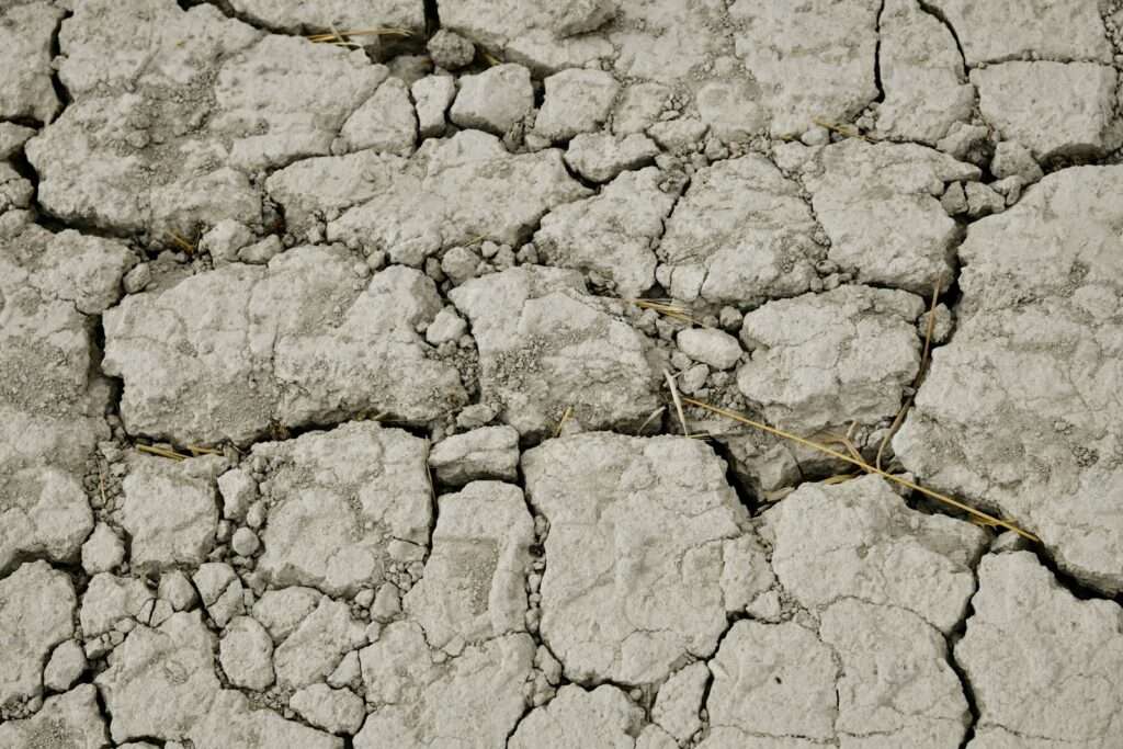 a close-up of a dry cracked ground