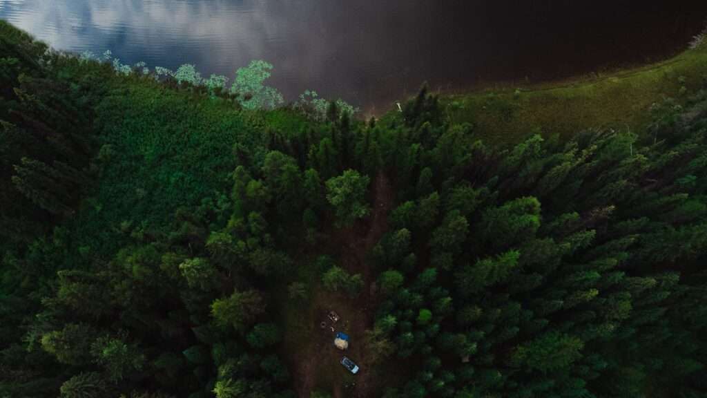 an aerial view of a forest with a lake in the background
